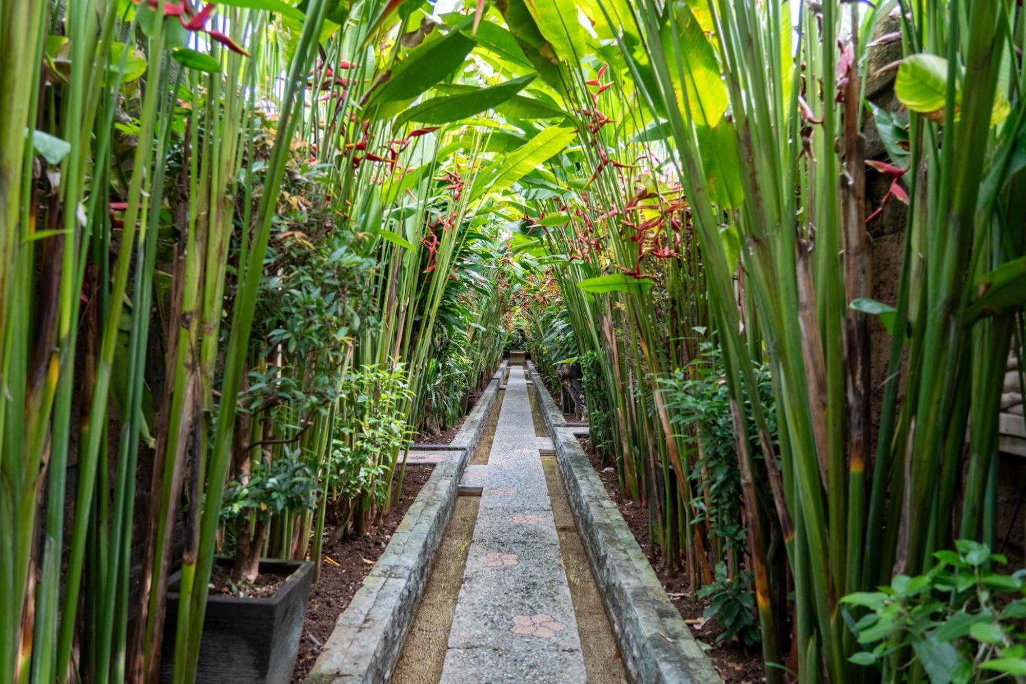 Bali Prime Villas Kerobokan Εξωτερικό φωτογραφία